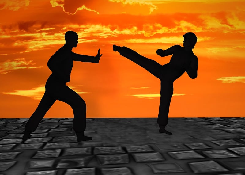 Kung Fu Discipline